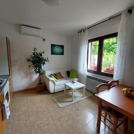 Apartman Gina ラビン エクステリア 写真
